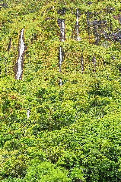 Waterfall of Ribeira do Ferreiro, Poco Ribeira do Ferreiro (Alagoinha), Flores Island (Ilha das Flores), Azores archipelago, Portugal