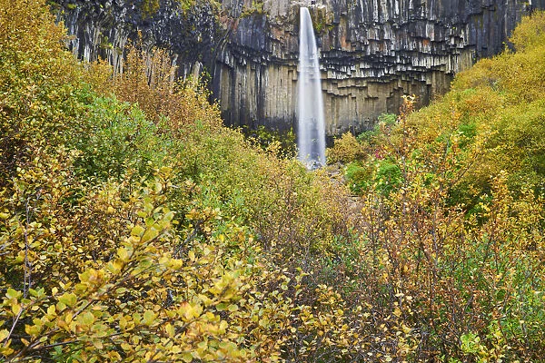 Waterfall Svartifoss with basalt rocks - Iceland, Eastern Region, Skaftafell