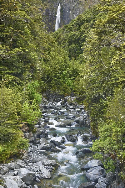 Waterfall in temperate rainforest - New Zealand, South Island, Canterbury, Selwyn