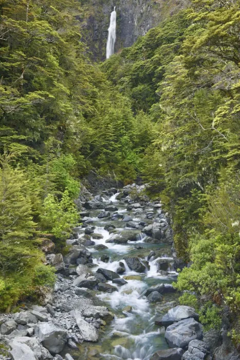 Framed Print : Waterfall in temperate rainforest - New Zealand, South Island, Canterbury, Selwyn Framed Print : Waterfall in temperate rainforest - New Zealand, South Island, Canterbury, Selwyn