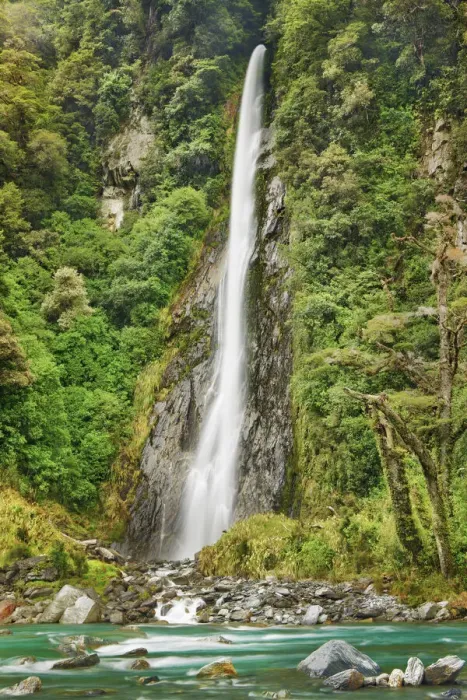 Framed Print : Waterfall Thunder Creek Falls and Hst River - New Zealand, South Island, West Coast Framed Print : Waterfall Thunder Creek Falls and Hst River - New Zealand, South Island, West Coast
