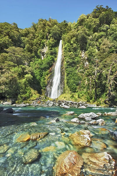 Waterfall Thunder Creek Falls - New Zealand, South Island, West Coast, Westland