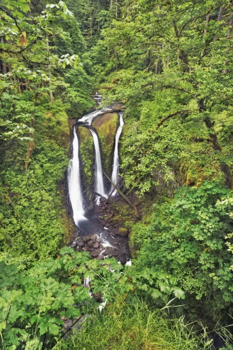 Framed Print : Waterfall Triple Falls in Pacific rainforest - USA, Oregon, Multnomah, Oneonta Creek Framed Print : Waterfall Triple Falls in Pacific rainforest - USA, Oregon, Multnomah, Oneonta Creek