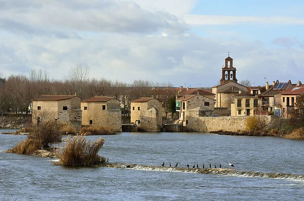 The watermills of Zamora along the Douro river. Castilla y Leon, Spain