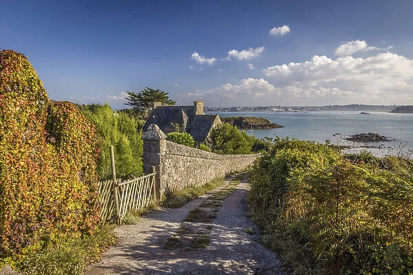 Way to the harbor on the Ile de Batz, Finistere, Brittany, France