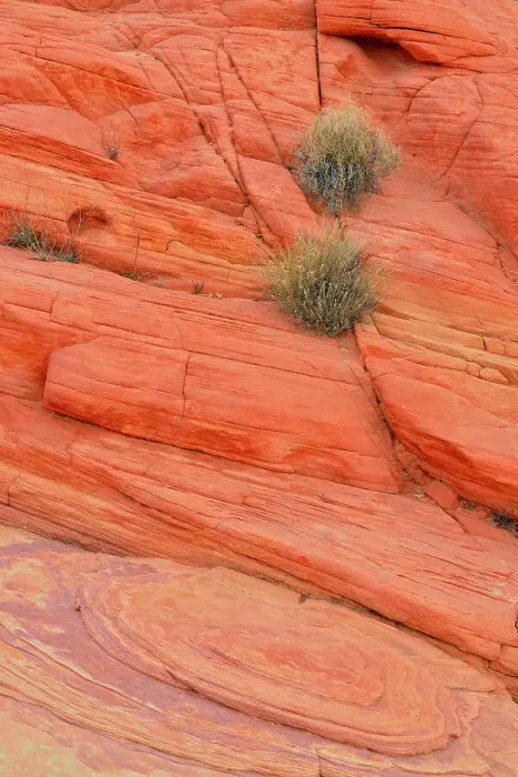 Framed Print : Weathered sandstone rock formations and desert shrubs along the Scenic Drive- Rainbow Vista, Valley of Fire State Park, Nevada, USA Framed Print : Weathered sandstone rock formations and desert shrubs along the Scenic Drive- Rainbow Vista, Valley of Fire State Park, Nevada, USA