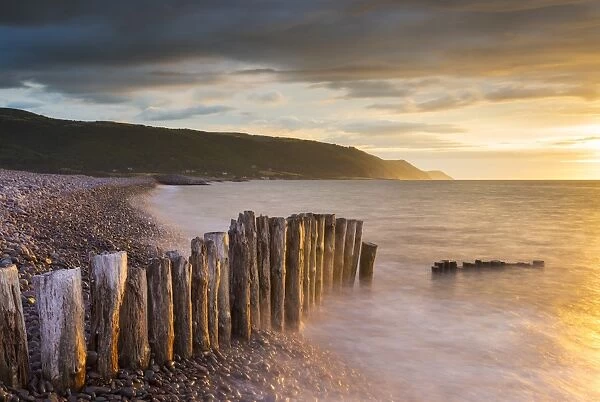 Weathered wooden posts on Bossington Beach, Exmoor National Park, Somerset, England
