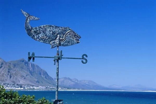 A weathervane in the shape of a whale on a house overlooking Walker Bay