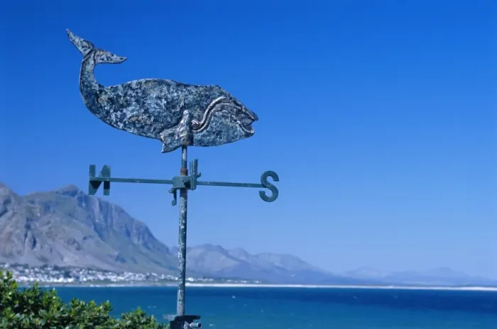 Framed Print : A weathervane in the shape of a whale on a house overlooking Walker Bay Framed Print : A weathervane in the shape of a whale on a house overlooking Walker Bay
