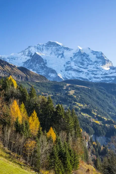 Framed Print : Wengen, and Jungfrau mountain, Berner Oberland, Switzerland