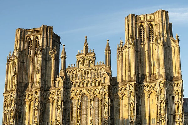 West face of Wells Cathedral in evening sunlight, Wells, Somerset, England