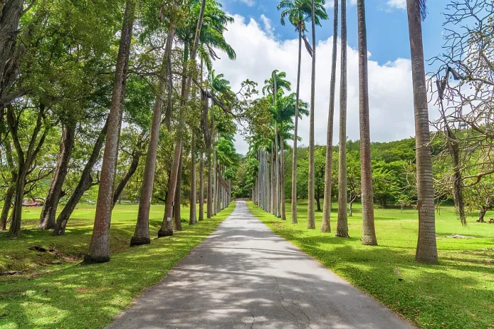 Framed Print : West Indies, Barbados, Saint John, Codrington College Framed Print : West Indies, Barbados, Saint John, Codrington College