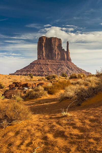 West Mitten Butte, Monument Valley Navajo Tribal Park, Arizona, USA