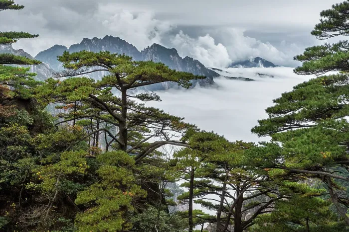 Framed Print : West Sea Canyon at Huangshan (Yellow Mountains), China Framed Print : West Sea Canyon at Huangshan (Yellow Mountains), China