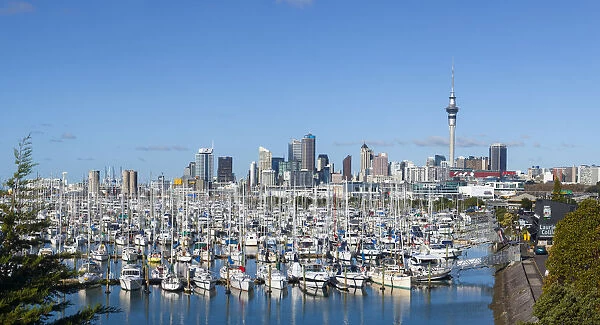 Westhaven Marina & City Skyline, Auckland, Northland, North Island, New Zealand