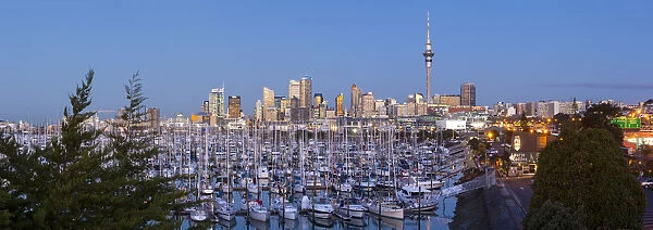 Westhaven Marina & city skyline illuminated at dusk, Waitemata Harbour, Auckland