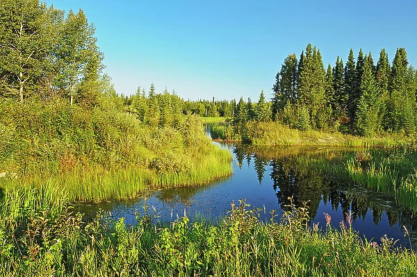 Wetland and boreal forest Sasagiu Rapids Provincial Park, Manitoba, Canada