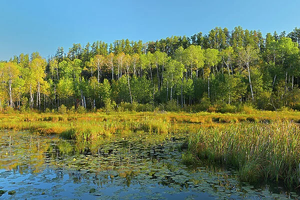 Wetland in the Canadian Shield Whiteshell Provincial Park, Manitoba, Canada