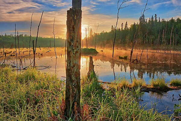 Wetland at sunrise on Kendall Inlet Road Kenora, Ontario, Canada