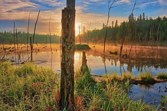 Framed Print : Wetland at sunrise on Kendall Inlet Road Kenora, Ontario, Canada Framed Print : Wetland at sunrise on Kendall Inlet Road Kenora, Ontario, Canada