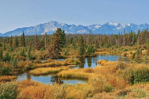 Wetlands and the Kluane Ranges, the easternmost of the St Elias Mountains. Kluane National Park Yukon, Canada Kluane National Park Yukon, Canada