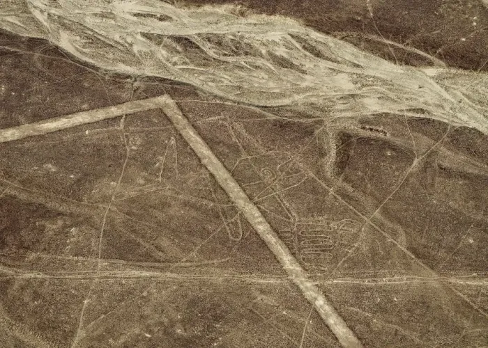 Framed Print : The Whale Geoglyph, aerial view, Nazca, Ica Region, Peru Framed Print : The Whale Geoglyph, aerial view, Nazca, Ica Region, Peru