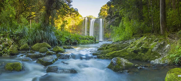 Whangarei Falls, Whangarei, Northland, New Zealand, Australasia