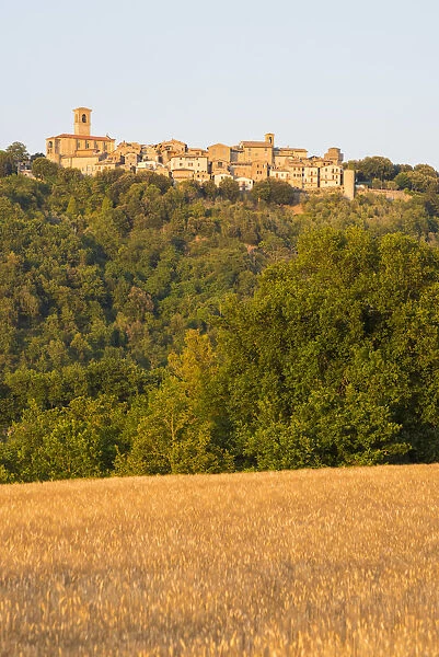Wheat field and in background the little village of Collazzone, Perugia Province, Umbria
