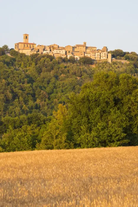 Framed Print : Wheat field and in background the little village of Collazzone, Perugia Province, Umbria Framed Print : Wheat field and in background the little village of Collazzone, Perugia Province, Umbria