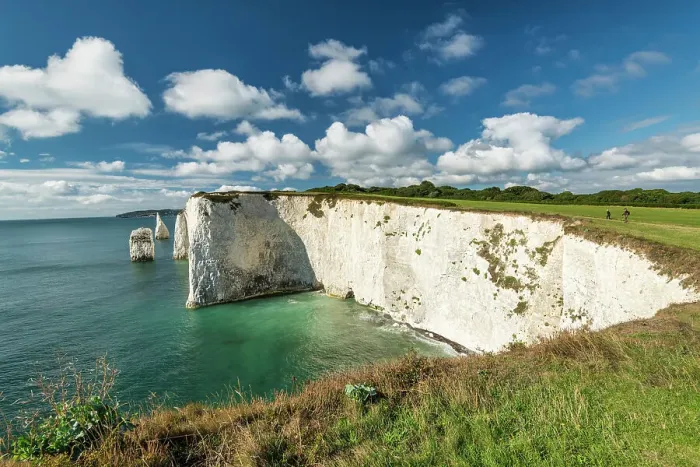 Framed Print : White Cliffs, Isle of Purbeck, Jurassic Coast, Dorset, England Framed Print : White Cliffs, Isle of Purbeck, Jurassic Coast, Dorset, England