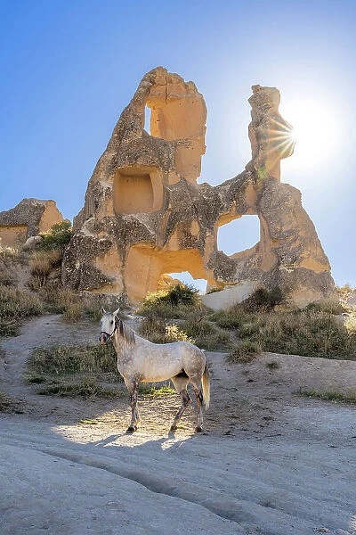 White horse in front of rock formation, Goreme, Goreme Historical National Park, Nevsehir District, Nevsehir Province, UNESCO, Cappadocia, Central Anatolia Region, Turkey