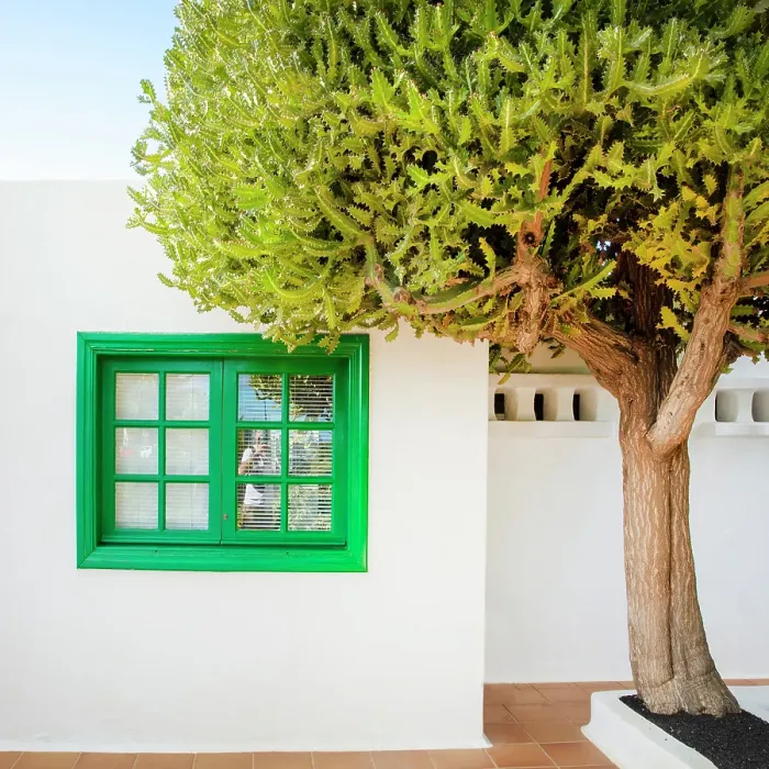 Framed Print : White house and tree, Tahiche, Lanzarote, Canary Islands, Spain Framed Print : White house and tree, Tahiche, Lanzarote, Canary Islands, Spain