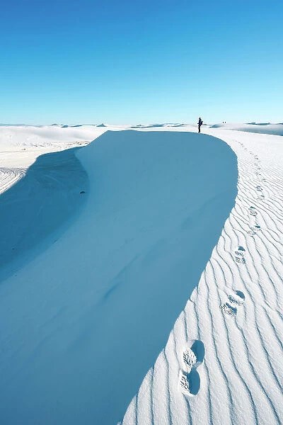 White Sands National Park, Alamogordo, New Mexico, USA