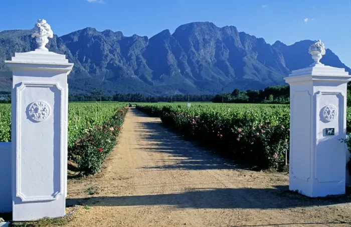 Framed Print : White stuccoed pillars at the entrance to Bellingham Vineyard