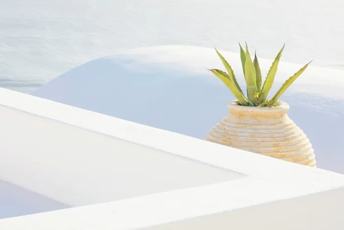 Framed Print : Whitewashed walls, large Greek urn and cactus, Oia, Santorini, Cyclades Islands, Greece, Europe Framed Print : Whitewashed walls, large Greek urn and cactus, Oia, Santorini, Cyclades Islands, Greece, Europe