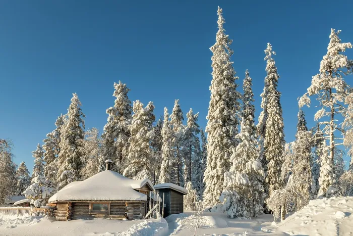 Framed Print : Wilderness Cafe Tykky & Snow-covered Pine Trees, Riisitunturi National Park, Posio, Lapland, Finland Framed Print : Wilderness Cafe Tykky & Snow-covered Pine Trees, Riisitunturi National Park, Posio, Lapland, Finland