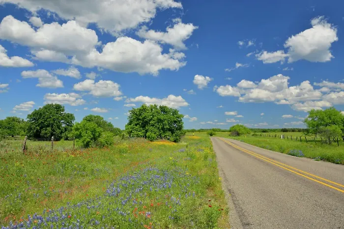 Framed Print : Wildflowers along Ranch Road 152, Llano County, Texas, USA Framed Print : Wildflowers along Ranch Road 152, Llano County, Texas, USA