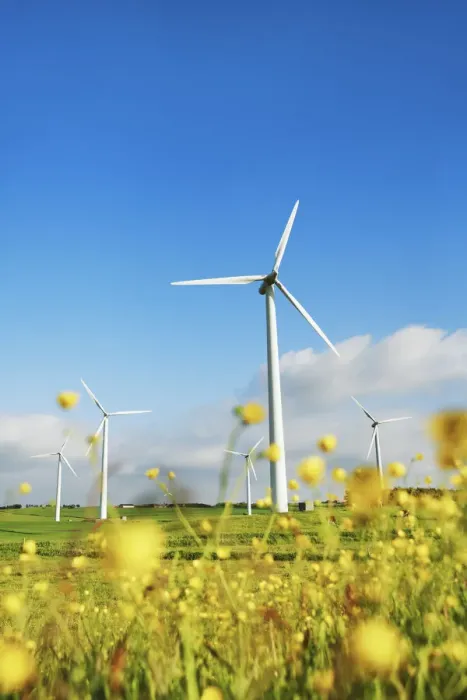 Framed Print : Wind energy plant and crowfoot meadow - Denmark, Jutland, Sydthy, Hurup, Vestervig Framed Print : Wind energy plant and crowfoot meadow - Denmark, Jutland, Sydthy, Hurup, Vestervig