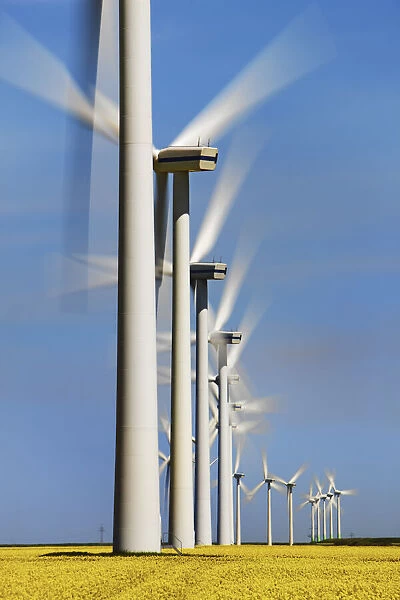 Wind energy plant in rape field - Germany, Schleswig-Holstein, North Frisia, S√ºdtondern, Nieb√ºll, Klanxb√ºll