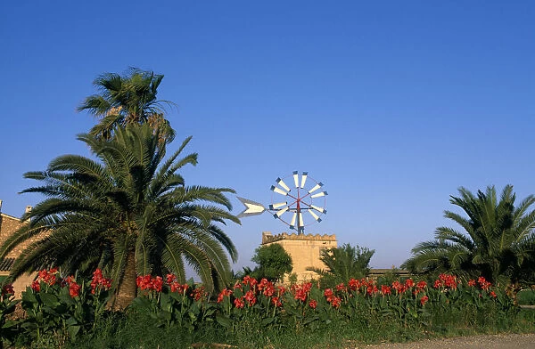 Wind mill, Lluc Major, Majorca, Balearic Islands, Spain