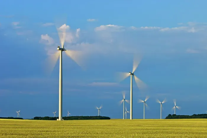 Framed Print : wind turbines and canola crop Somerset, Manitoba, Canada