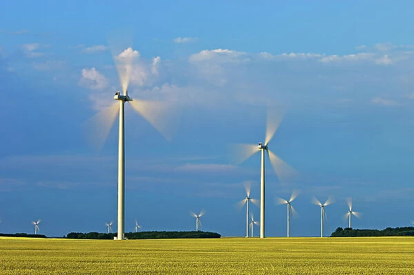 wind turbines and canola crop Somerset, Manitoba, Canada