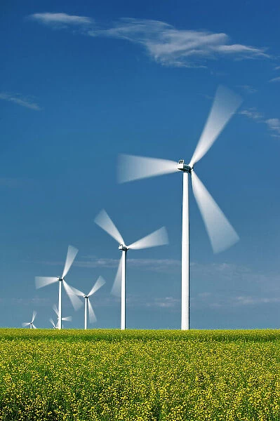 Wind turbines and canola crop Somerset, Manitoba, Canada
