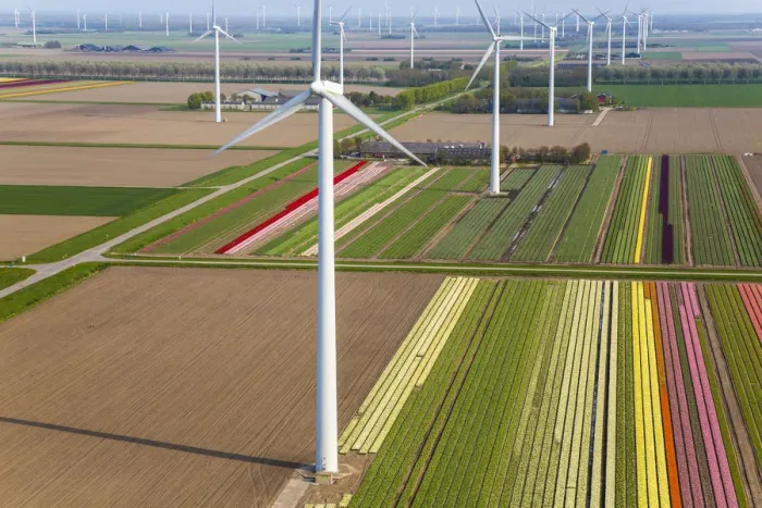 Framed Print : Wind turbines & tulip fields, N. Holland, Netherlands