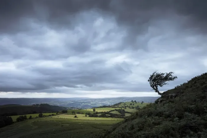 Framed Print : Windblown hawthorn tree, The Black Mountains, Brecon Beacons National Park, Powys, Wales Framed Print : Windblown hawthorn tree, The Black Mountains, Brecon Beacons National Park, Powys, Wales