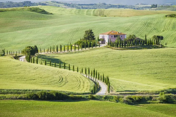 Framed Print : Winding Cypress Tree-lined Road & Villa, Montalcino, Tuscany, Italy Framed Print : Winding Cypress Tree-lined Road & Villa, Montalcino, Tuscany, Italy