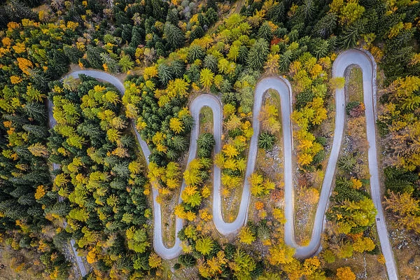 Winding road to Cheggio and Lago dei Cavalli in autumn. Alpe Cheggio, Antrona Valley, Piedmont, Verbano Cusio Ossola, Italy