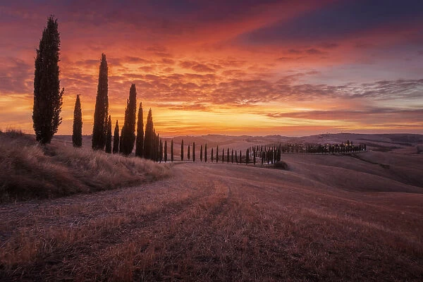 The winding road that leads to the iconic Podere Baccoleno in the Siena countryside during an explosive autumn sunset. Tuscany, Italy