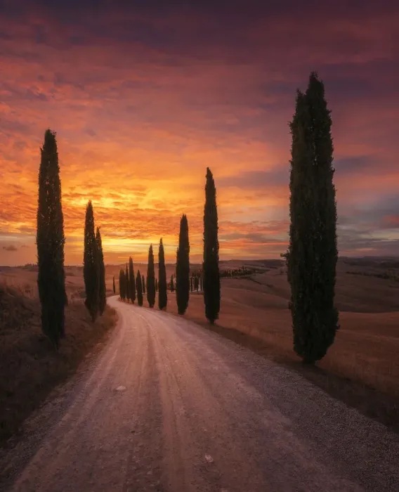 Framed Print : The winding road that leads to the iconic Podere Baccoleno in the Siena countryside during an explosive autumn sunset. Tuscany, Italy