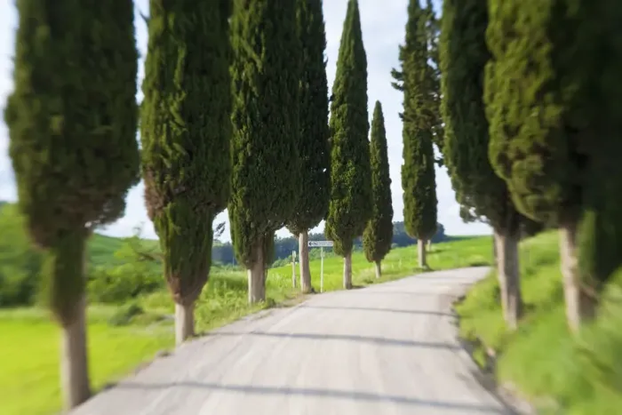 Framed Print : Winding Road, nr Pienza, Tuscany, Italy